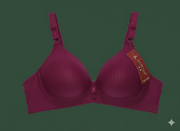 Premium Quality Ladies Bra – Soft Fabric, Perfect Fit, Imported from China