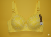 Fashion Meets Comfort – Women’s Soft Bra Collection | Premium Quality