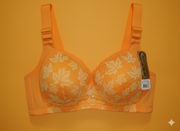 Fashion Meets Comfort – Women’s Soft Bra Collection | Premium Quality